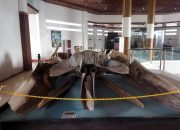 Ada Tulang Ikan Paus, hingga Benda Bersejarah