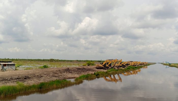 Banjir “Musuh Bebuyutan” Food Estate Dadahup