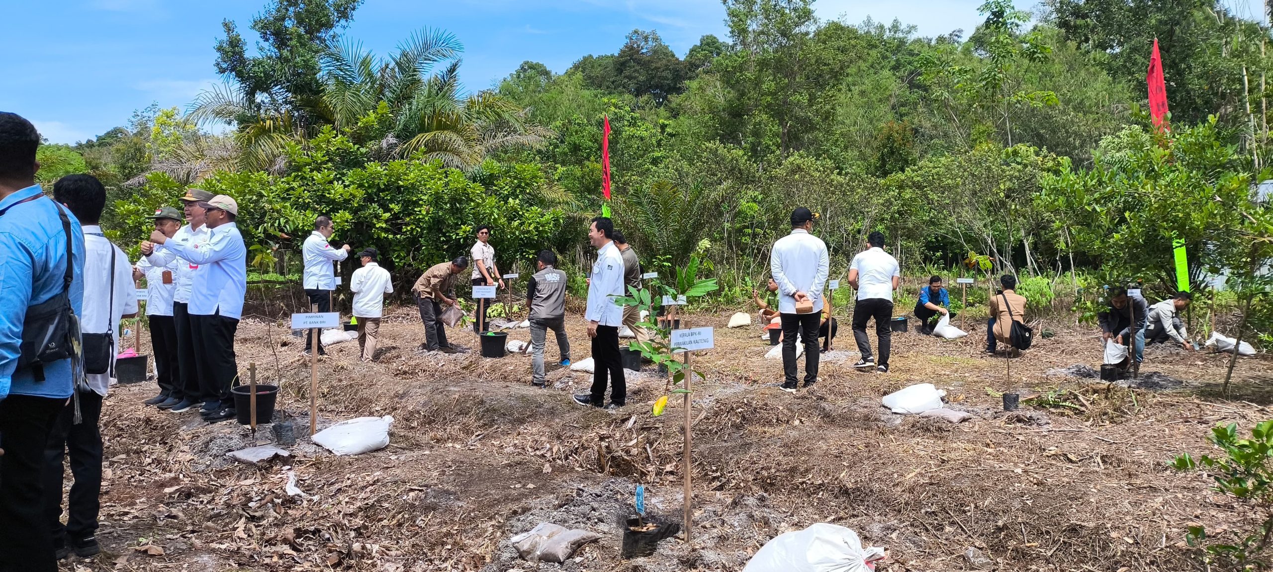 Gubernur Kalteng Apresiasi Yayasan BOS