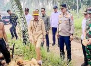 Pemprov Optimalkan Perkembangan Komoditas Potensial