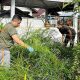 Satpol PP Gelar Baksos Bersihkan Area TPU 