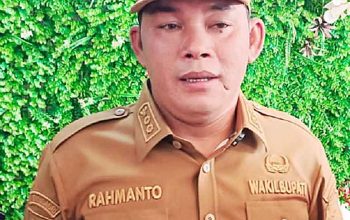 Wakil Bupati Murung Raya Rahmanto Muhidin. Foto IST