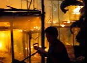 Kandang Terbakar, Ribuan Ayam Terpanggang