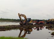 Perencanaan Food Estate Dadahup Tak Sesuai Kondisi Lapangan