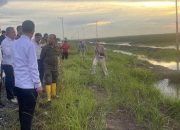 Belum Bisa Tanam Padi di Lahan Dadahup