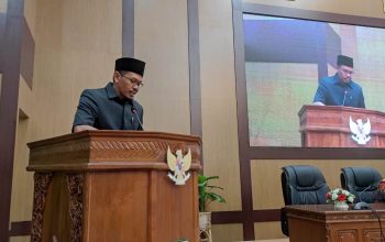 Fraksi PDI Perjuangan