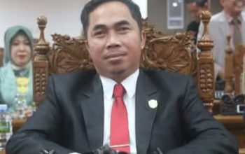 Dewan Pulpis