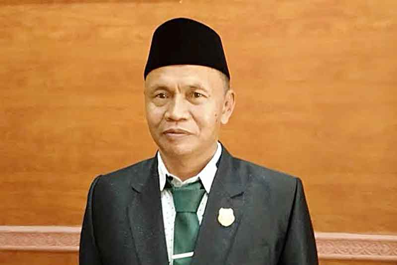 Anggota DPRD Kabupaten Kapuas Pahmi.