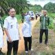 Bupati Andalkan Petani Agar Kembangkan Lahan dan Jaga Kualitas Panen 