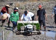 Bupati Kapuas Tanam Padi Perdana di Lahan CSR