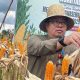 Distan Targetkan Puluhan Hektare Lahan Jagung 