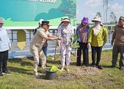 Dorong Gerakan Hijau Lewat Program Tiga Juta Pohon