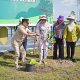 Dorong Gerakan Hijau Lewat Program Tiga Juta Pohon