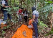 Kerangka Manusia di Hutan Tumbang Tahai