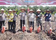 Hadiri Panen Raya Jagung Serentak Kuartal II 2025