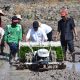 Bupati Lakukan Tanam Perdana di Lokasi CSR Sei Kayu