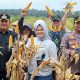 Kolaborasi Polri dan PBS, Bupati Hadiri Panen Raya Jagung Serentak 
