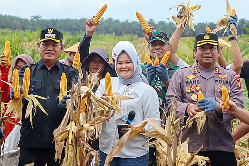 Kolaborasi Polri dan PBS, Bupati Hadiri Panen Raya Jagung Serentak 