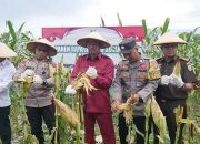 Masduki Bakal Jalankan Program Desa Satu Hektar di Sukamara