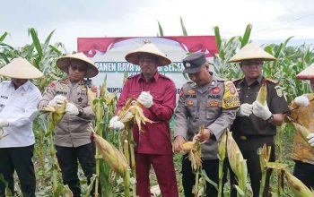 Masduki Bakal Jalankan Program Desa Satu Hektar di Sukamara