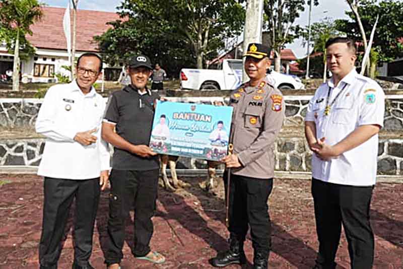 Pemprov Salurkan 600 Sapi Kurban