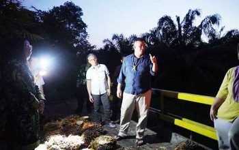 Tunjukkan Progres Positif, Bupati Lamandau Tinjau Pembangunan Ruas Jalan Kolam-Bulik 