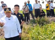 Bupati Kapuas Tinjau Lokasi Panen Raya Jelang Kehadiran Gubernur Kalteng
