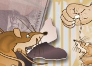 Kepengurusan Vakum setelah Kasus Korupsi