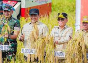 Siapkan Rp 150 Miliar untuk Pembangunan Jalan Pertanian di Kapuas