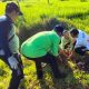 Pj Sekda Kapuas Bersama ASN Lakukan kegiatan “Jumat Bersih”