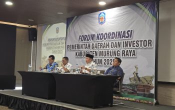 Investor Tambang