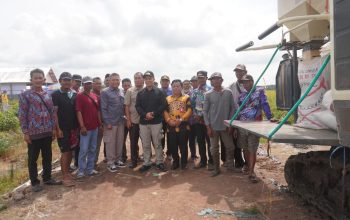 Bupati Pulpis Hadiri Syukuran Panen Padi Desa Mulyasari