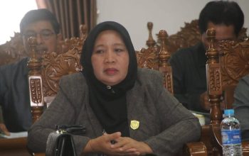 DPRD Pulpis