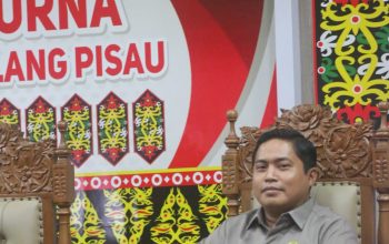 Dewan Pulpis