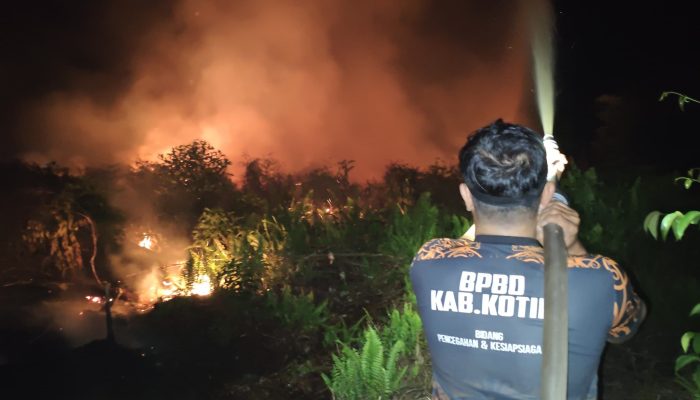 Kebakaran Lahan Terjadi Lagi di Kotim