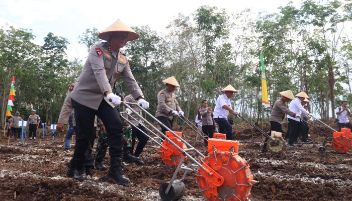 Kapolda Kalteng Tanam Jagung di Pulpis, Target Panen Kuartal III Tembus 28 Ribu Ton