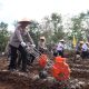 Kapolda Kalteng Tanam Jagung di Pulpis
