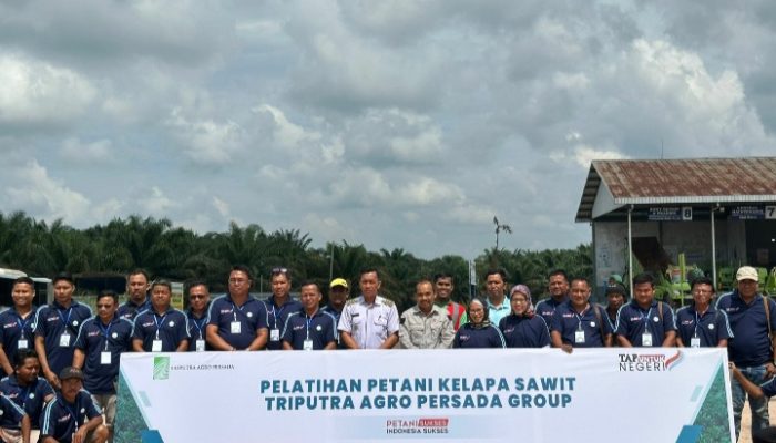 Upaya Peningkatan SDM, PBS di Lamandau Gelar Pelatihan Petani Sawit