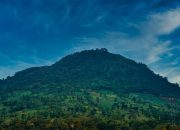 Hutan Cikuray Rusak Diduga Akibat Offroad