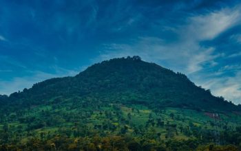 Hutan Cikuray Rusak Diduga Akibat Offroad