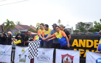 Bupati