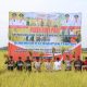 Gubernur dan Forkopimda Turun ke Sawah